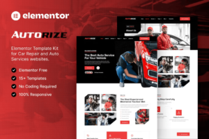 AUTORIZE – خدمات احترافية