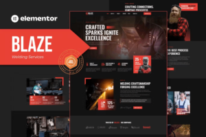 BLAZE – خدمات احترافية