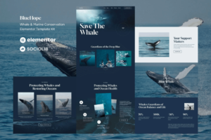 BLUEHOPE – منظمات خيرية