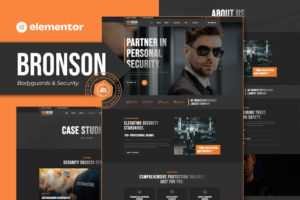 BRONSON – خدمات احترافية