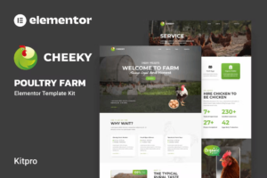 CHEEKY – أعمال وشركات