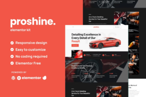 PROSHINE – خدمات احترافية