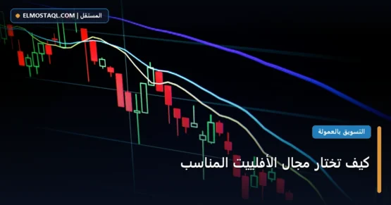 كيف تختار مجال الأفلييت المناسب