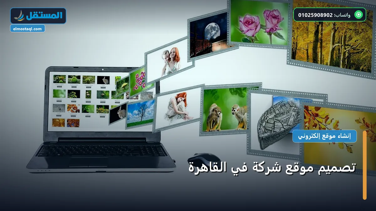 موقع شركة - تصميم موقع شركة في القاهرة: دليل الأسعار والباقات وأفضل اختيار لعام 2026