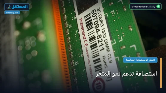 استضافة تدعم نمو المتجر: استراتيجية عملية مجربة لتصدر المنافسين في 2026