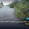 تختار قالب متجر - كيف تختار قالب متجر ووردبريس: الخطوات العملية وأهم الأدوات المجربة لعام 2026
