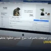 تختار ألوان موقعك - كيف تختار ألوان موقعك باحتراف: شرح عملي خطوة بخطوة للمبتدئين والمحترفين (2026)