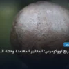 قالب متجر - قالب متجر سريع لووكومرس: المعايير المعتمدة وخطة التنفيذ الكاملة لعام 2026