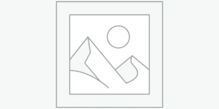 عنصر نائب Placeholder